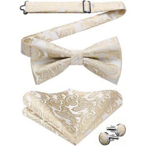Bow Ties for Men Pretied Bow Tie Set Paisley Classic Bowties and Pocket Square